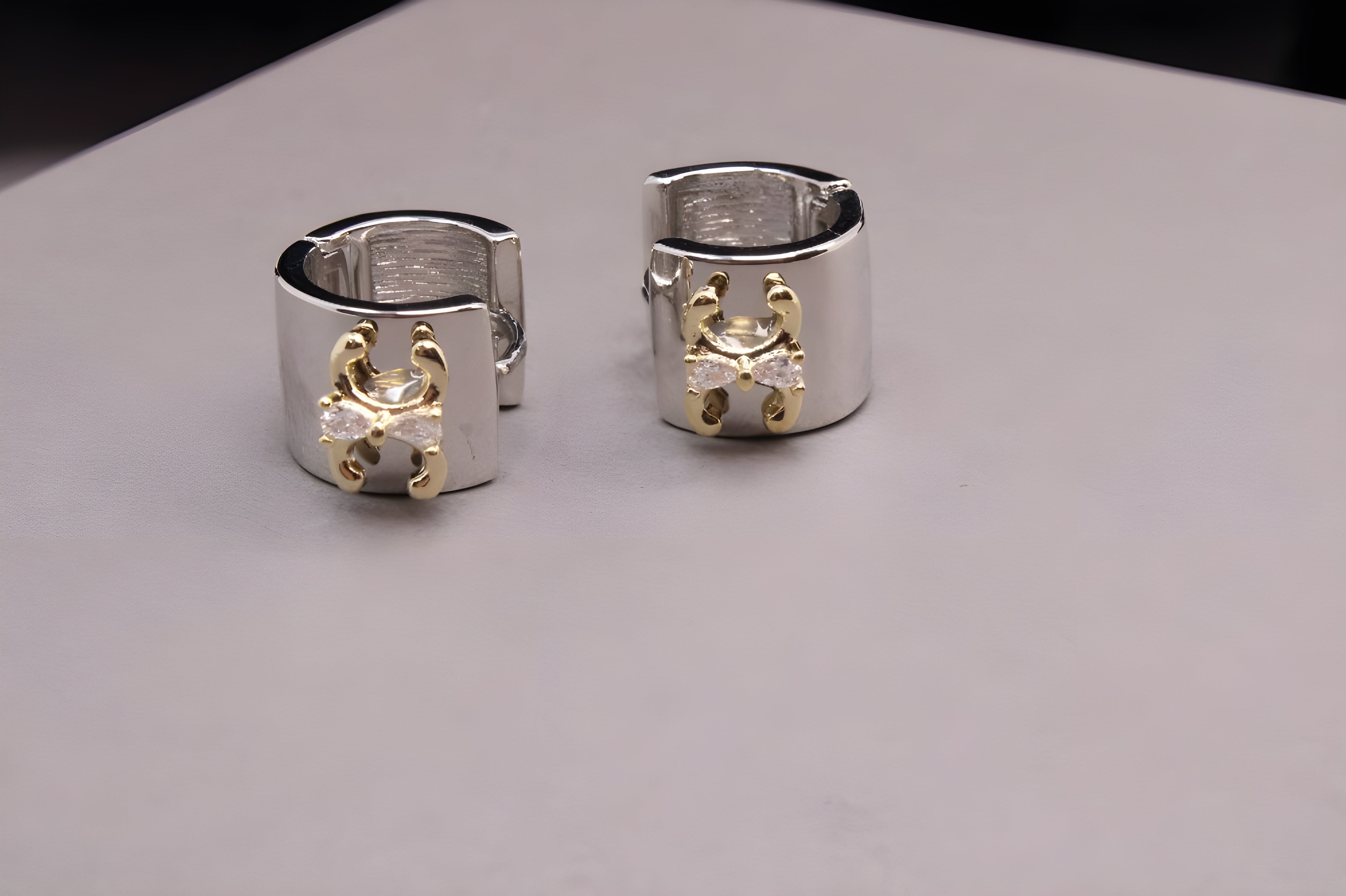 Radiant Choice Dual-Tone Earrings
