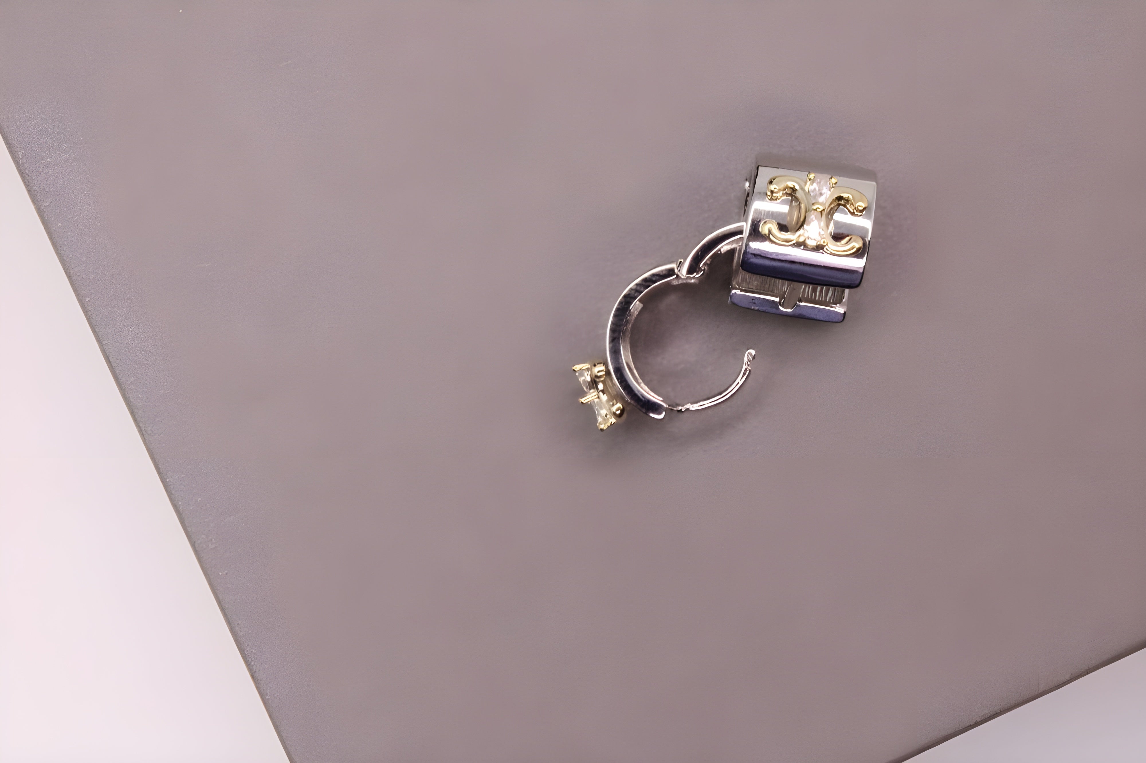 Radiant Choice Dual-Tone Earrings