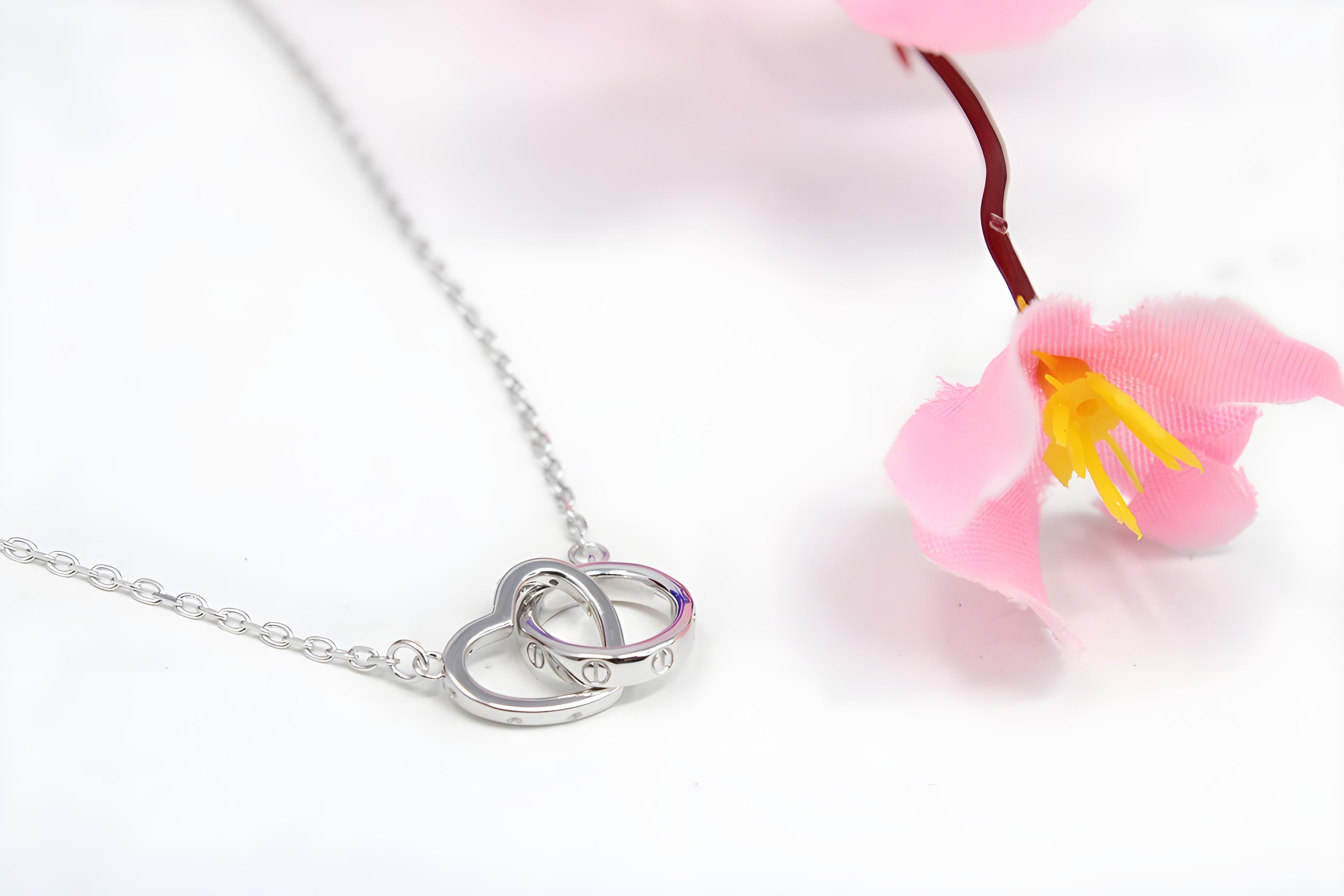 Everlasting Love Sterling Silver Circle and Heart Pendant