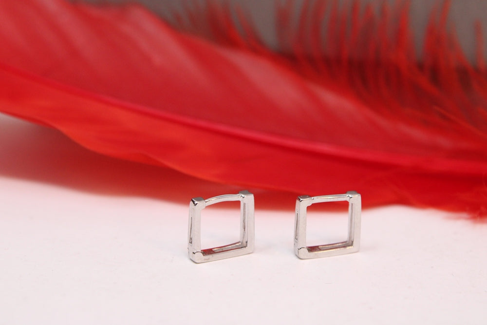 VeeLux Premium Silver Whisper Silver Earrings