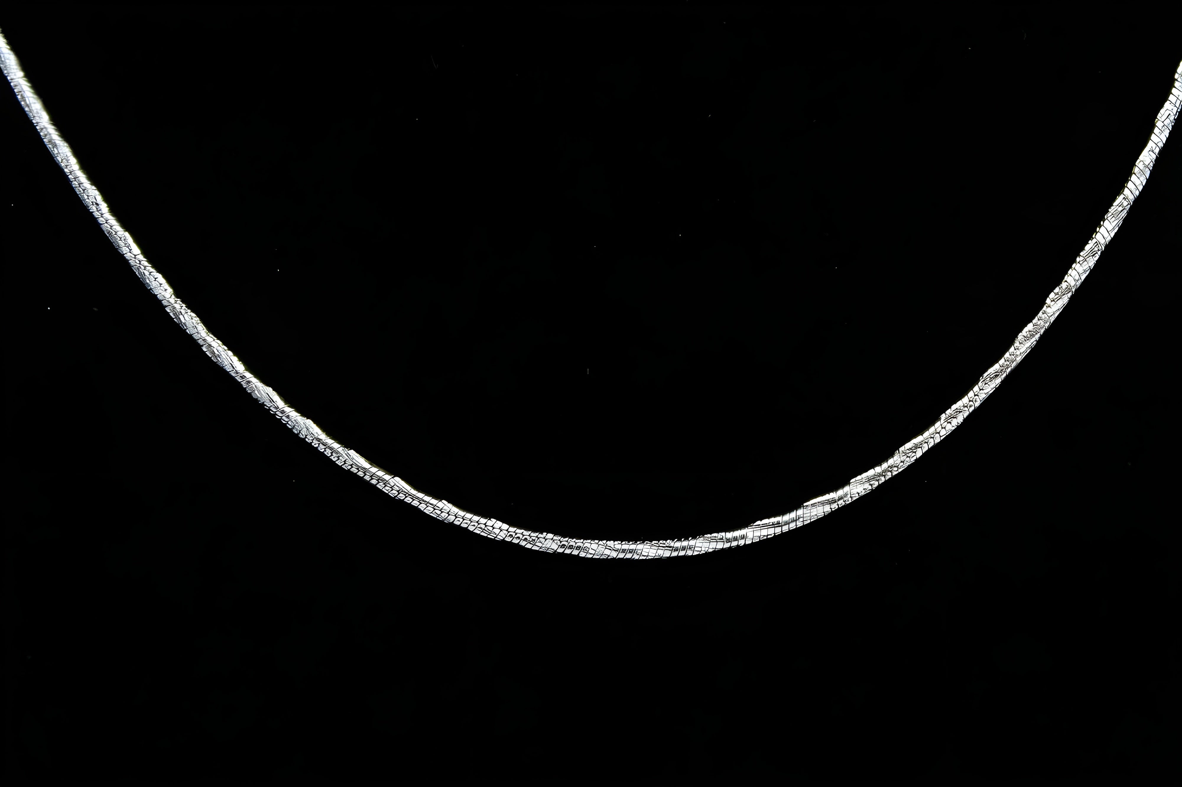 Serpent Twist Sleek Silver Chain