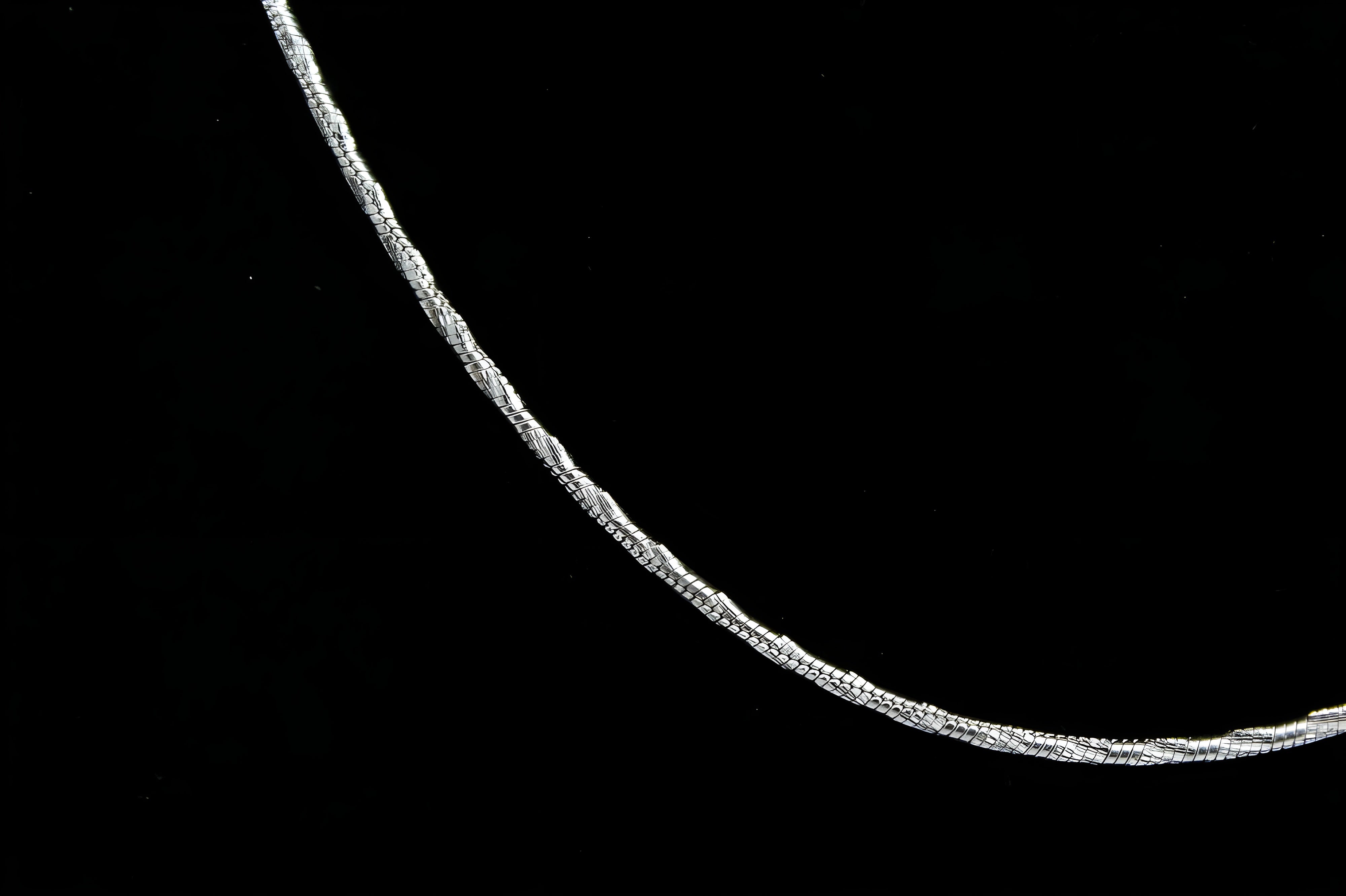 Serpent Twist Sleek Silver Chain