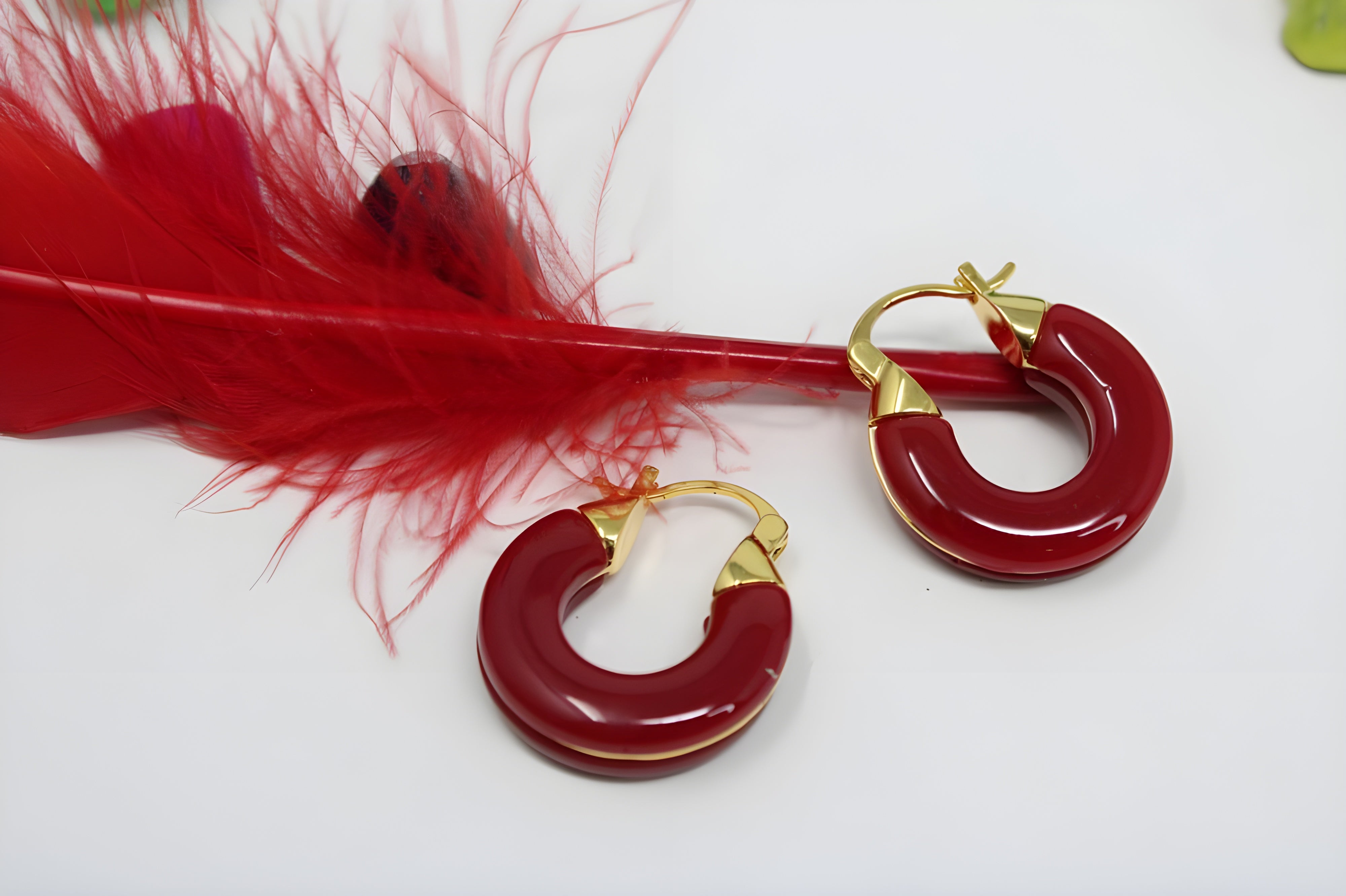 Elegant Enamel Hoop Earrings