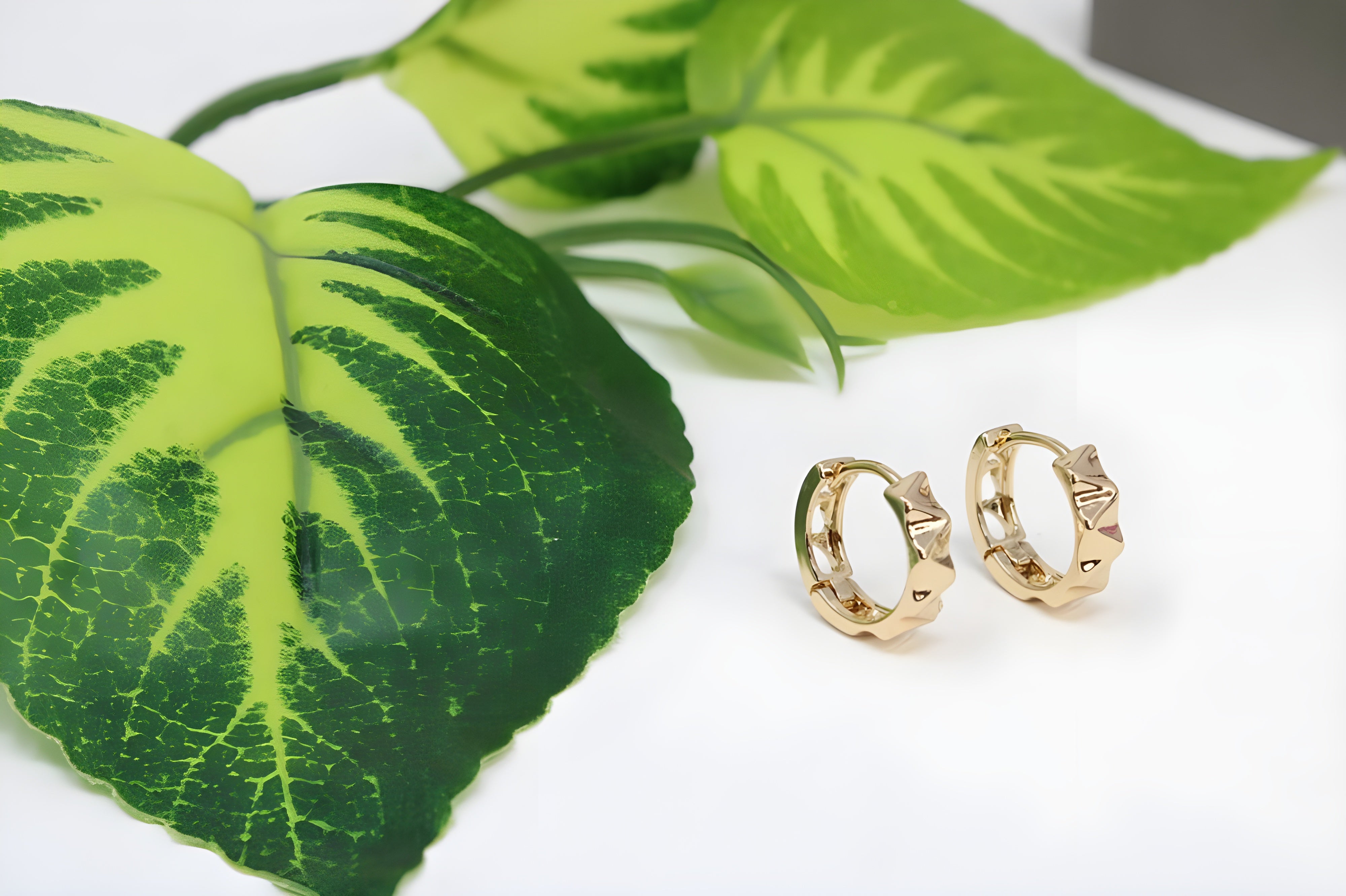 Luxe Aurum Hoop Earrings